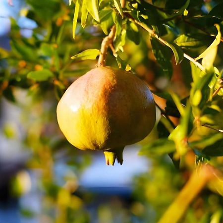 فيلا Luna D'أَجيرولا المظهر الخارجي الصورة